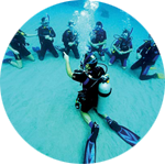 Open Water Instructor