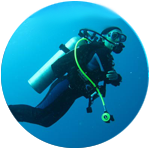 Open Water Diver