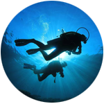 Open Water Diver