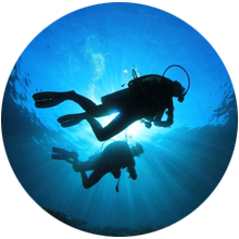 Open Water Diver